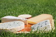 Roquefort
