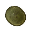 isolated military helmet