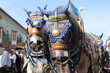 Oktoberfest 2010