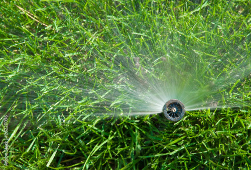 Foto: sprinkler of automatic watering sprinkler of automatic watering