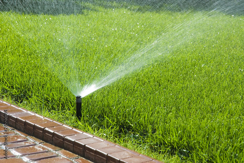 Photo: sprinkler of automatic watering sprinkler of automatic watering