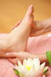 Wellness and Spa