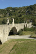 ponte gobbo