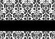 Vector Floral Ribbon Background Vector Floral Ribbon Background