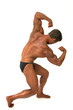 Bodybuilder showing muscular arms and back with white background Bodybuilder showing muscular arms and back with white background
