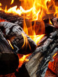 burning logs close up