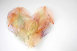 colorful heart with nature