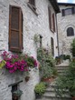 finestra adorna di fiori finestra adorna di fiori