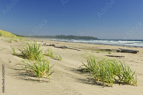 Photo: Ocean shore in Pacific Rim National park, Canada Ocean shore in Pacific Rim National park, Canada