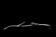 Black lateral car