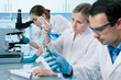 group of students working at the laboratory