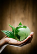 concept écologie planète terre nature concept écologie planète terre nature