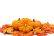 Autumn scene