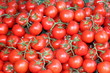 Strauchtomaten