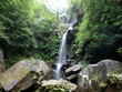 Jungle Waterfall