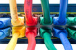 Plugged in - Colored Ethernet Cables Connected to Hub