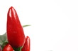 Zierpaprika