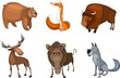 animal set