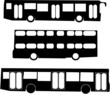 tourist bus collection vector