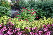 Stone wall in flower garden Stone wall in flower garden