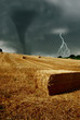 wind force hits the countryside