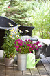 Relaxation at garden Relaxation at garden