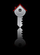 House Key, vector