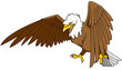 Weißkopfseeadler