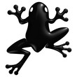Grenouille noir reflets