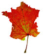 feuille de france rouge