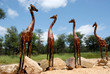 Giraffe in Sudafrica Giraffe in Sudafrica