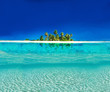 Exotic Holiday Post Card