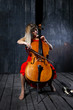 Beautiful cello musician
