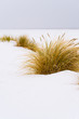 Winter auf Juist, Schneelandschaft