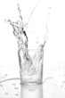 water glass
