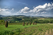 Hay stacks
