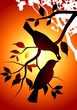 Illustration: Illustration of birds in a yellow Illustration of birds in a yellow