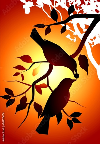 Illustration: Illustration of birds in a yellow Illustration of birds in a yellow