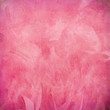 Detalii fotografie Pink pene abstract