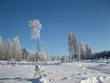 Winter nature