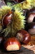castagne con ricci