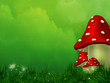 Fairy Fly Agaric Fairy Fly Agaric