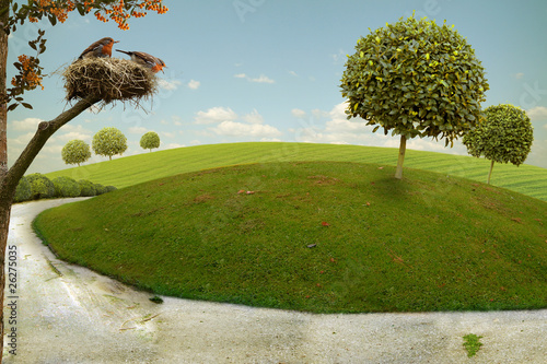 Photo: Nice Landscape Nice Landscape