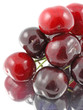 cerises