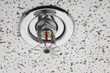 Fire Sprinkler