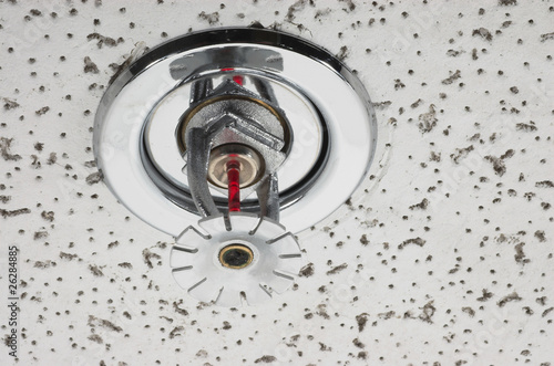 Photo: Fire Sprinkler Fire Sprinkler