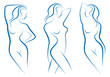 woman sketch, vector
