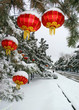 雪，灯笼
