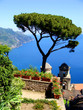 Amalfi Coast view from the cliffside town of Ravello, Italy Amalfi Coast view from the cliffside town of Ravello, Italy