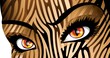 Occhi Donna Tigre-Tiger Woman's Eyes-Vector
